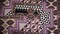 Purple-Beige-Multi Polyester Multi Pattern Border Printed Charmeuse Woven Fabric By the Yard